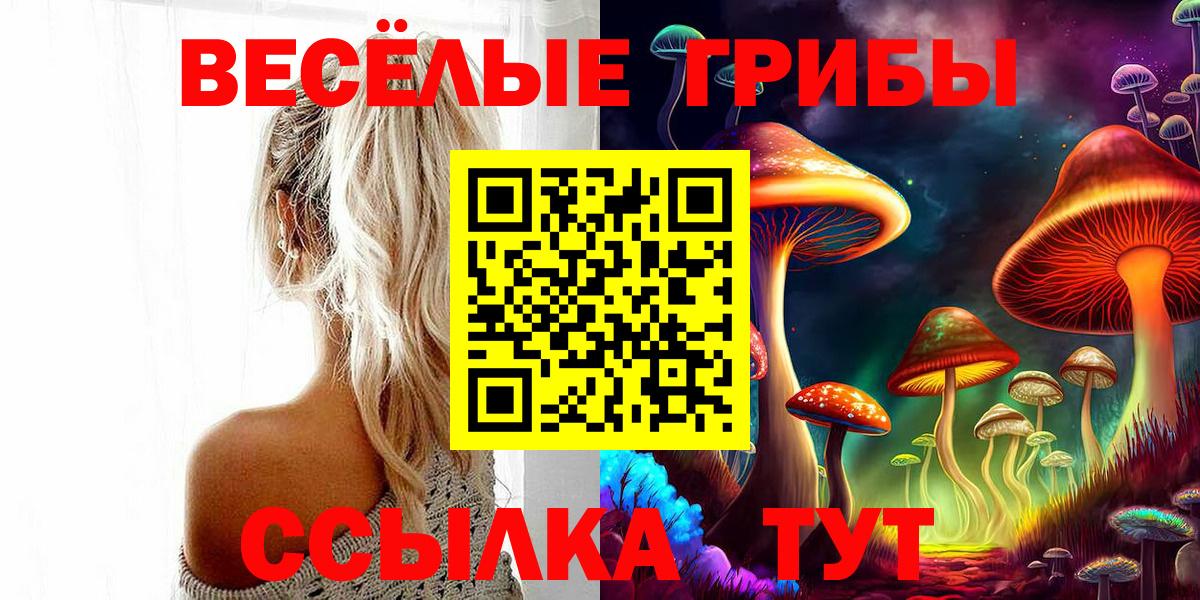 Галлюциногенные грибы мицелий  Вход с VPN  Севастополь 